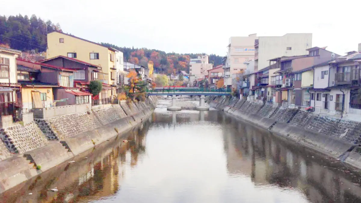 日本搜購之旅大成功！新品牌引入！