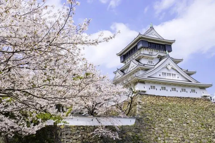 令和二年日本遊注意事項 - 日本實木傢俬店提提你