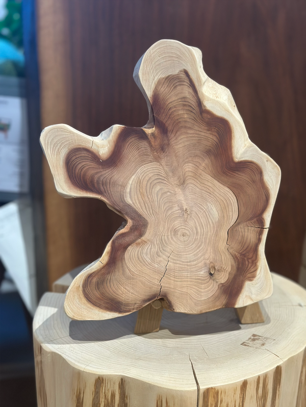 Japanese Oak Trivet- 静岡橡木一枚板