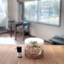 AROMA｜HINOKI WOOD CUBE | 檜木顆粒