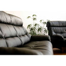 LEATHER SOFA | 真皮梳化 | 日本製造