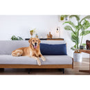 梳化床 | SOFA BED | 日本製梳化