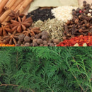 HINOKI LAB DIFFUSER OIL