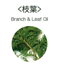 Hinoki Lab_日本天然檜木精油07