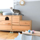 HOP｜儲物櫃｜CABINET | 收納櫃 | 日本製傢俬