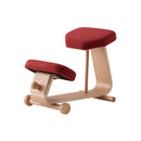 SLED｜兒童椅 | KIDS CHAIR｜學習椅｜日本製俬