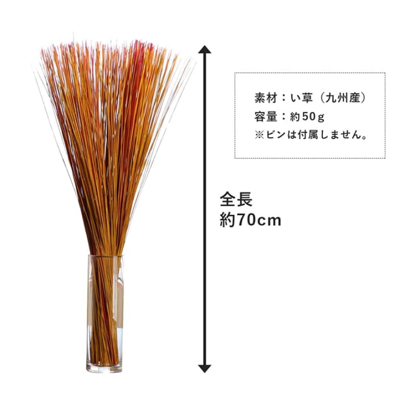 FRA｜草木棒 | GRASS TATAMI STICK