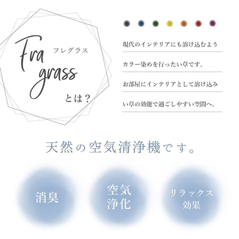 FRA｜草木棒 | GRASS TATAMI STICK