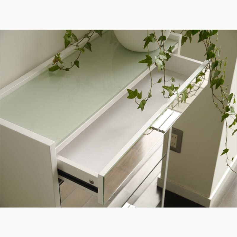 SL STORAGE | SHOE CABINET | 日本傢俬 | 鞋櫃