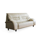 梳化 | SOFA | 日本製梳化 | 真皮梳化