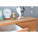 MARUMIE｜儲物櫃｜CABINET | 收納櫃 | 日本製傢俬