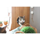 PEEP｜儲物櫃｜CABINET | 收納櫃 | 日本製傢俬